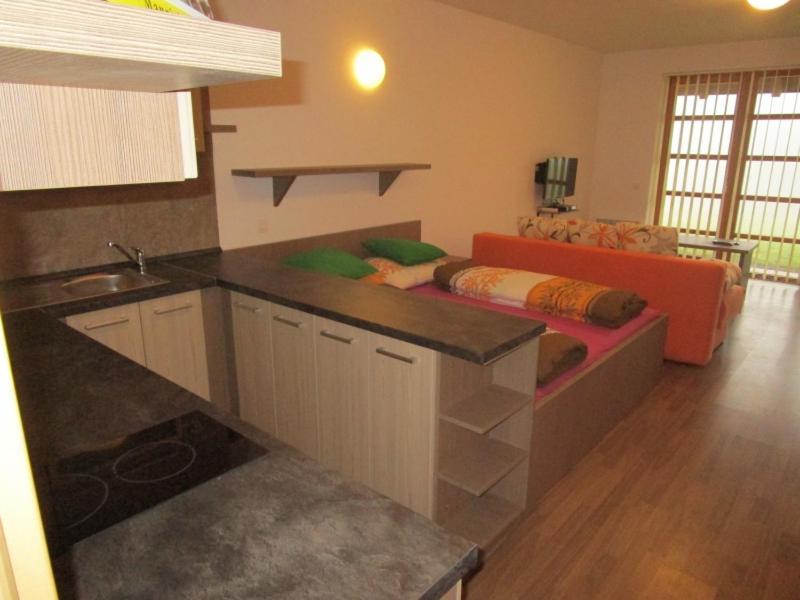 Apartman Ricky V Orlickych Horach Wüstenei Exterior foto